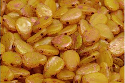Anemone Petal Beads 8x11mm (111-01384-08x11-81220-ETCH-54319)
