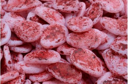 Anemone Petal Beads 11x16mm (111-01384-11x16-02010-ETCH-54314)