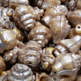 Murex Shell Beads 15x12mm (111-95009-15x12-02010-65321-54324)