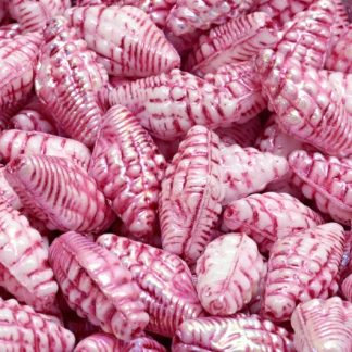 Miter Shell Beads 16x8mm (111-95006-16x08-02010-28701-54321)