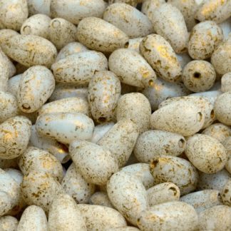 Drop Beads 9x6mm (111-59004-09x06-02010-etch-54302)