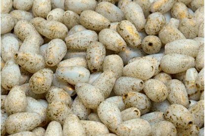 Drop Beads 9x6mm (111-59004-09x06-02010-etch-54302)