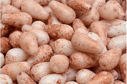 Drop Beads 15x8mm (111-59004-15x08-02010-etch-54319)