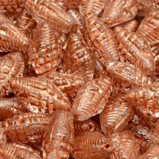 Miter Shell Beads 16x8mm (111-95006-16x08-00030-54319)