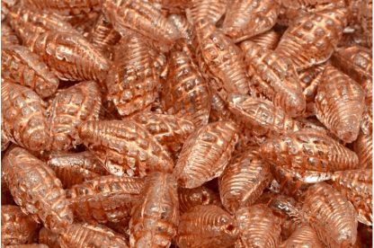 Miter Shell Beads 16x8mm (111-95006-16x08-00030-54319)