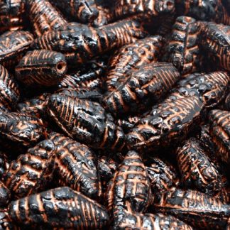 Miter Shell Beads 16x8mm (111-95006-16x08-23980-54319)