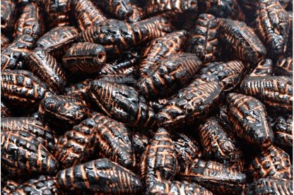 Miter Shell Beads 16x8mm (111-95006-16x08-23980-54319)