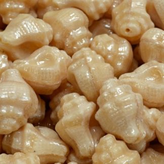 Murex Shell Beads 15x12mm (111-95009-15x12-11111-14400)