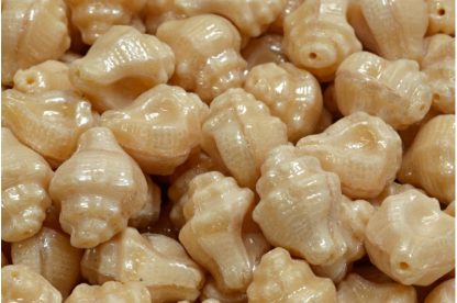 Murex Shell Beads 15x12mm (111-95009-15x12-11111-14400)