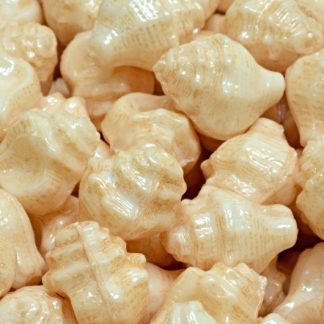 Murex Shell Beads 15x12mm (111-95009-15x12-02010-14413)