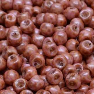 Mushroom Button Beads 6x5mm (111-95031-06x05-02010-65307)