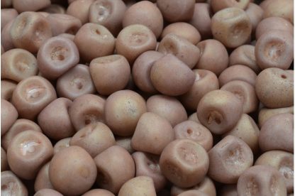 Mushroom Button Beads 9x8mm (111-95031-09x08-02010-84100-65491)