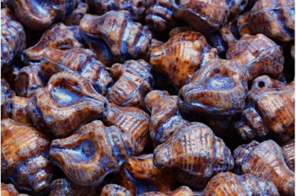 Murex Shell Beads 15x12mm (111-95009-15x12-13020-86800-54309)