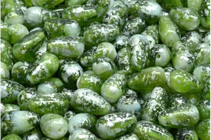 Drop Beads 9x6mm (111-59004-09x06-06508-94400)