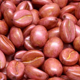 Coffee Bean Beads 11x8mm (111-30262-11x08-02010-65327)
