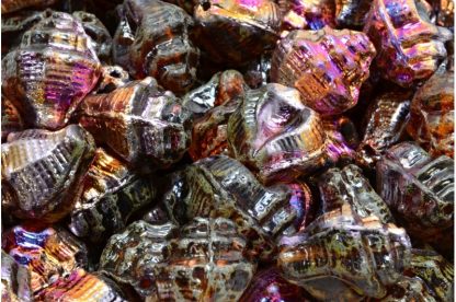 Murex Shell Beads 15x12mm (111-95009-15x12-00030-86800-29501)