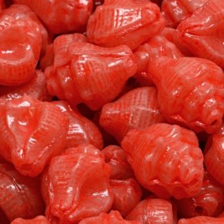 Murex Shell Beads 15x12mm (111-95009-15x12-71111-33307)