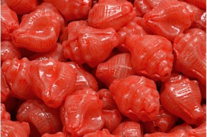 Murex Shell Beads 15x12mm (111-95009-15x12-71111-33307)