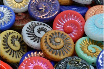 Fossil Shell Beads 18x18mm (111-95021-18x18-00001-mix)
