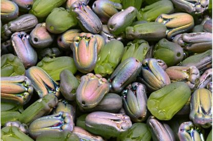 Tulip Bud Beads 12x8mm (111-40012-12x08-50230-84100-28101)